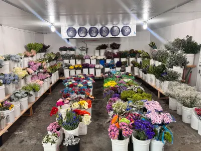 A Martinez Flowers, business photo 3
