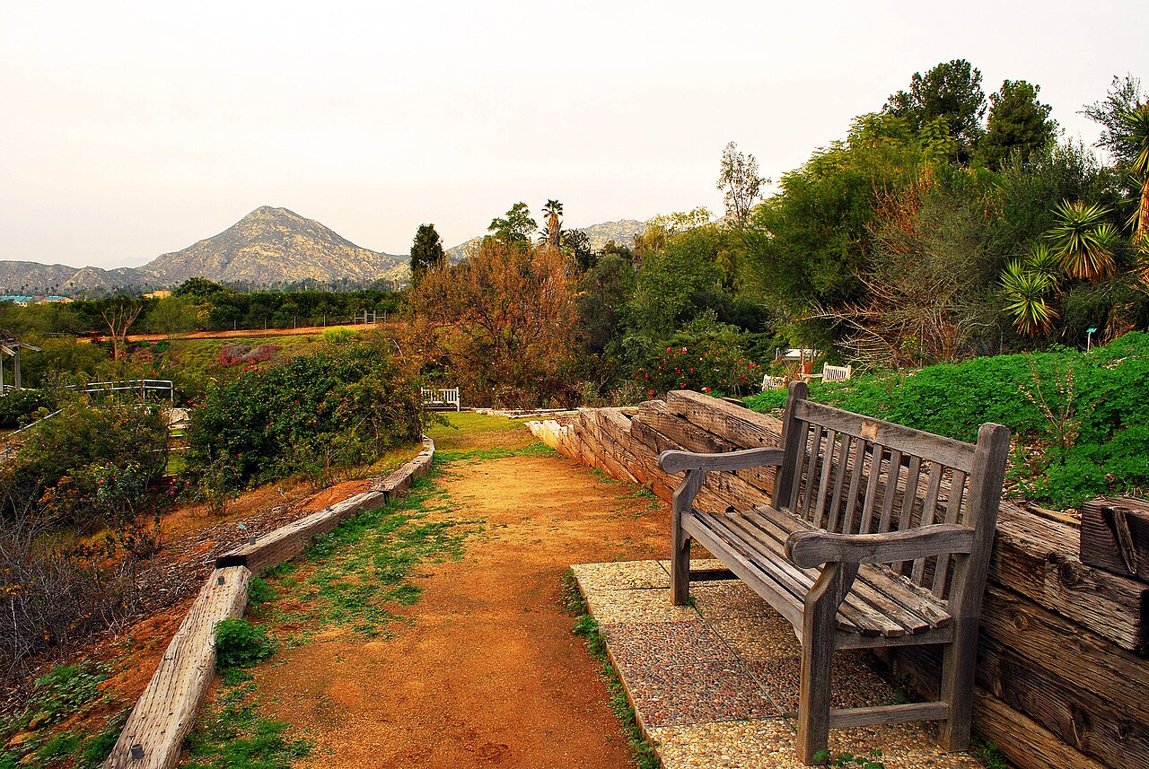 University of California-Riverside campus