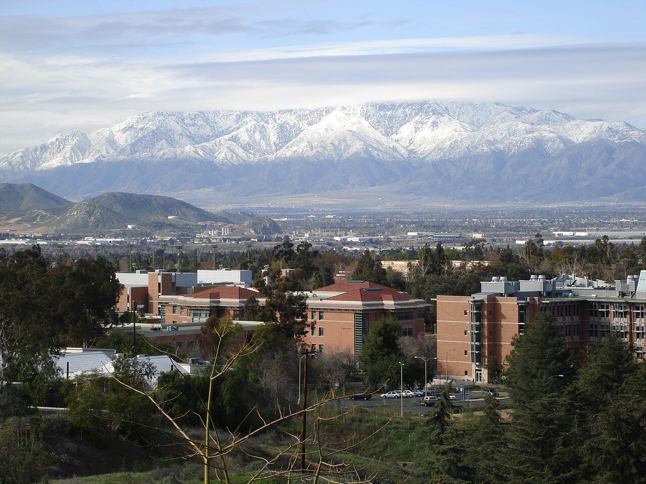 University of California-Riverside campus