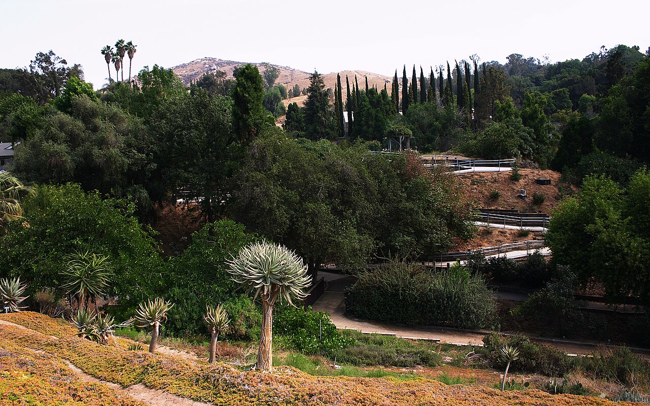 University of California-Riverside campus